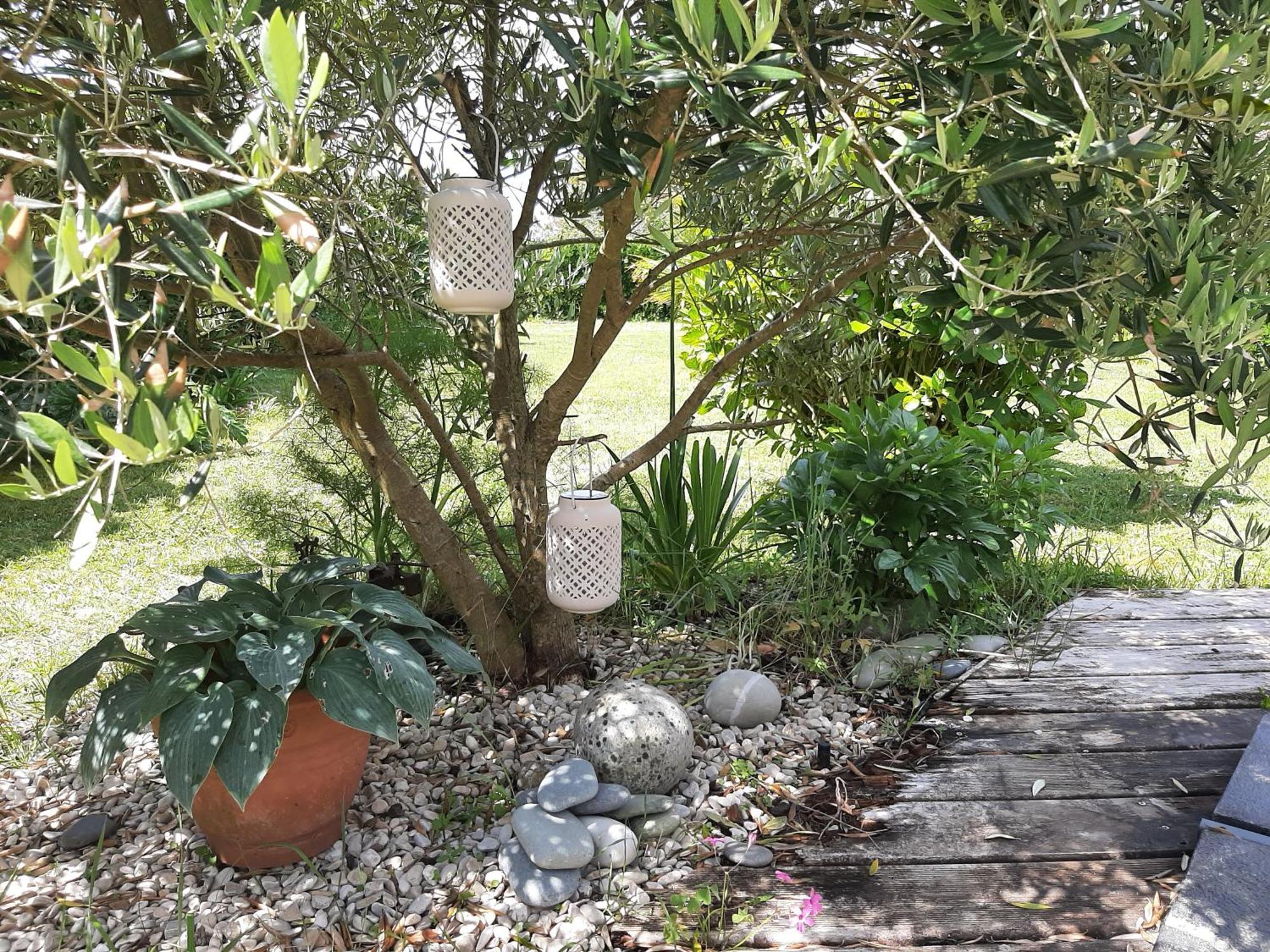 Maison Chaleureuse Bord De Mer Primelin 外观 照片